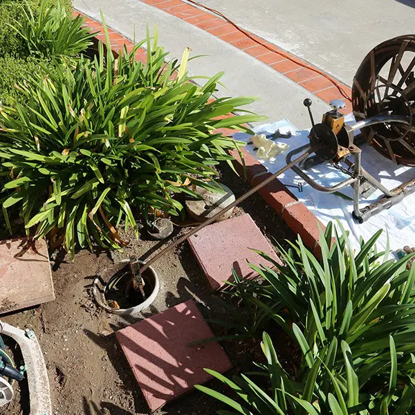 clogged drain service