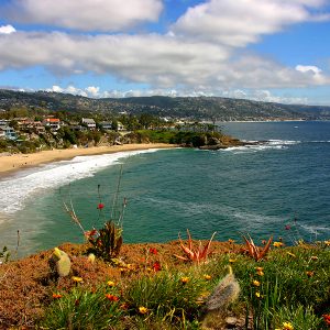 teamrooter-service-area-orange-county teamrooter-service-area-orange-county