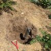 Trenchless Sewer Line Replacement In Los Feliz / Silverlake