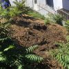 Trenchless Sewer Line Replacement In Los Feliz / Silverlake