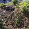 Trenchless Sewer Line Replacement In Los Feliz / Silverlake