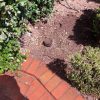 Sewer Line Replacement In San Gabriel, CA