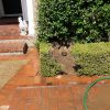 Sewer Line Replacement In San Gabriel, CA