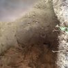 Damaged Pipe in Granada Hills