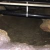 sewer-line-replacement-northridge-ca5