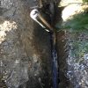 sewer-line-replacement-rancho-palos-verdes-ca-1