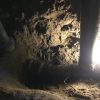 spot-repair-north-hollywood-ca1