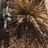 spot-repair-north-hollywood-ca9