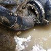 sewer-line-repace-reseda-ca-4