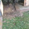 spotrepairlosangelesca-1