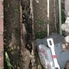 main-line-clean-installed-and-repair-la-cresenta-ca-6