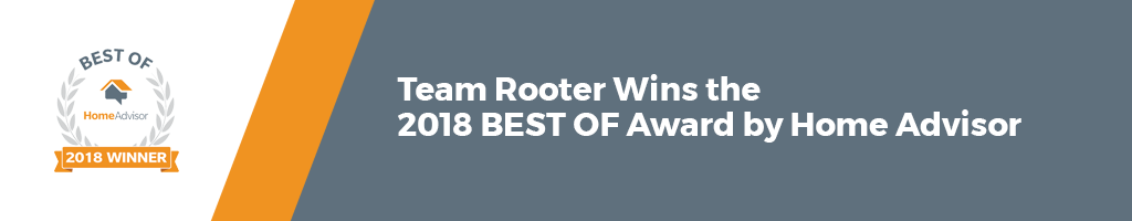 Team Rooter