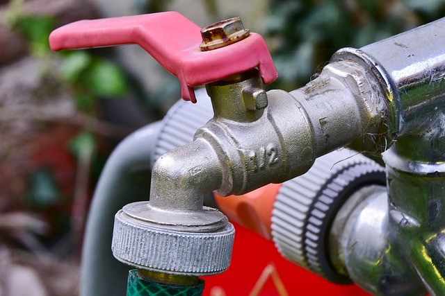 Hose and Faucet