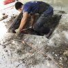 spotrepair-woodlandhills-5