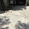 spotrepair-woodlandhills-6