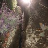 thousandoaks-trenchless-7