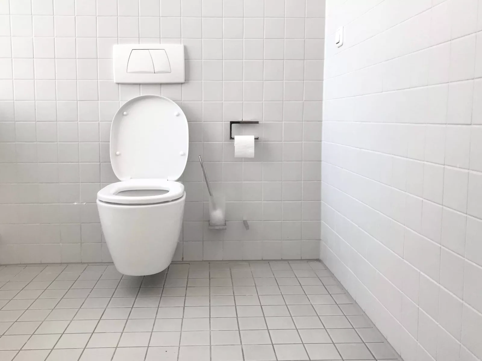 Clogged Toilet
