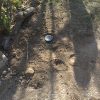 sewer-repair-pasadena-ca-4