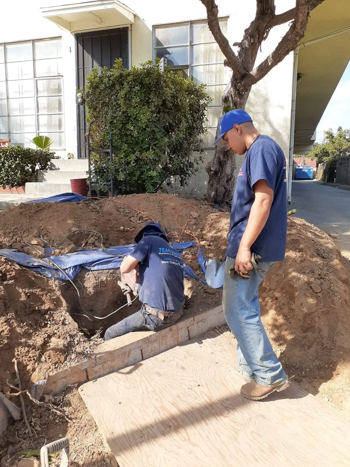 top rated plumbers