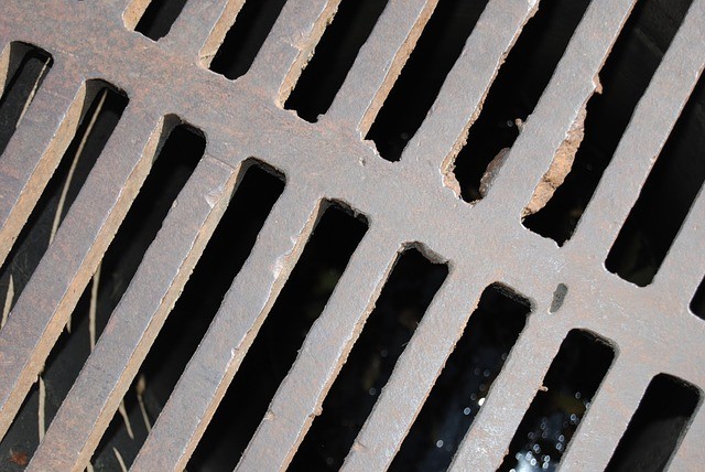 sewer services