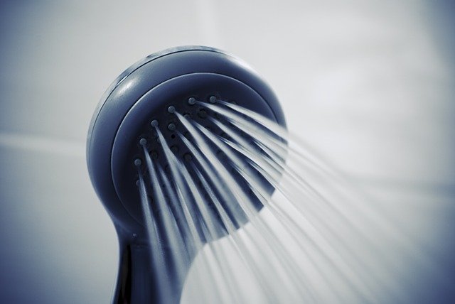 rooter service