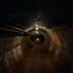 Photo by Martin Brechtl on Unsplash