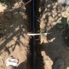 sewer-line-repair-in-san-diego-ca-3