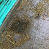 hydrojetting-and-sewer-drain-repair-in-encino-california-2