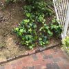 hydrojetting-and-sewer-drain-repair-in-encino-california-4