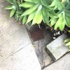 hydrojetting-and-sewer-drain-repair-in-encino-california-9