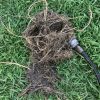 mainline-sewer-repair-simivalley-ca-9