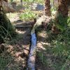 new-water-main-install-in-escondido-ca-4