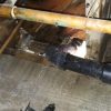 sewer-line-repair-in-panorama-ca1