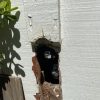 sewer-line-repair-in-panorama-ca11