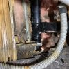 sewer-line-repair-in-panorama-ca12
