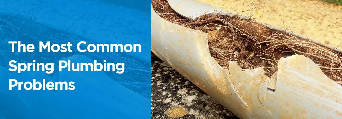 web2-spring-banner