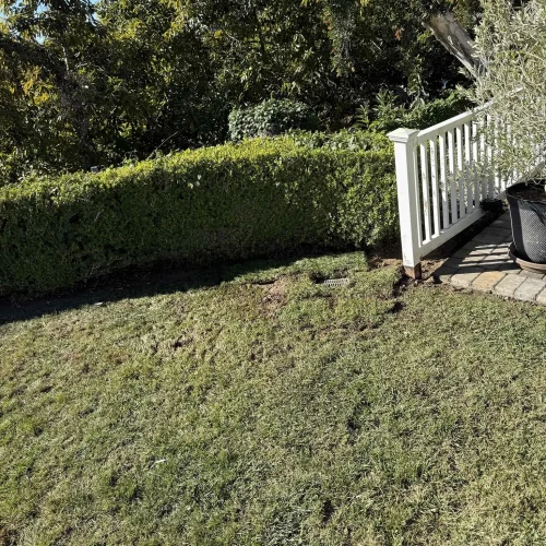 Bathroom Drain Line Excavation & Repair