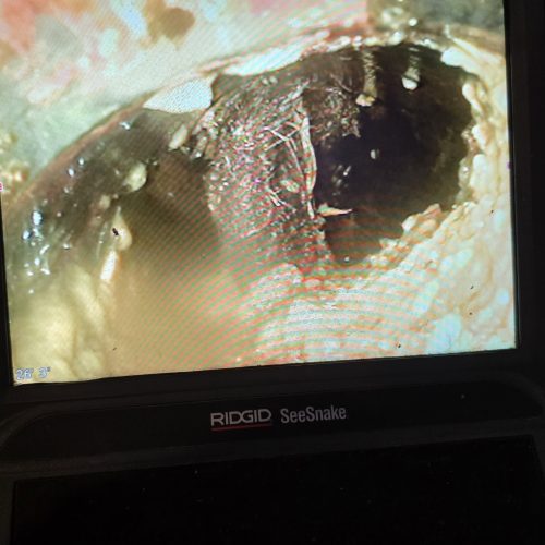 Bathroom Drain Line Excavation & Repair