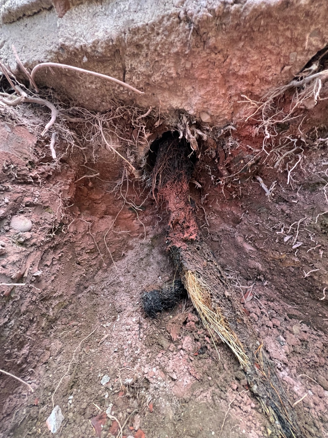 Main Line Backup Repair in Los Angeles — during the work