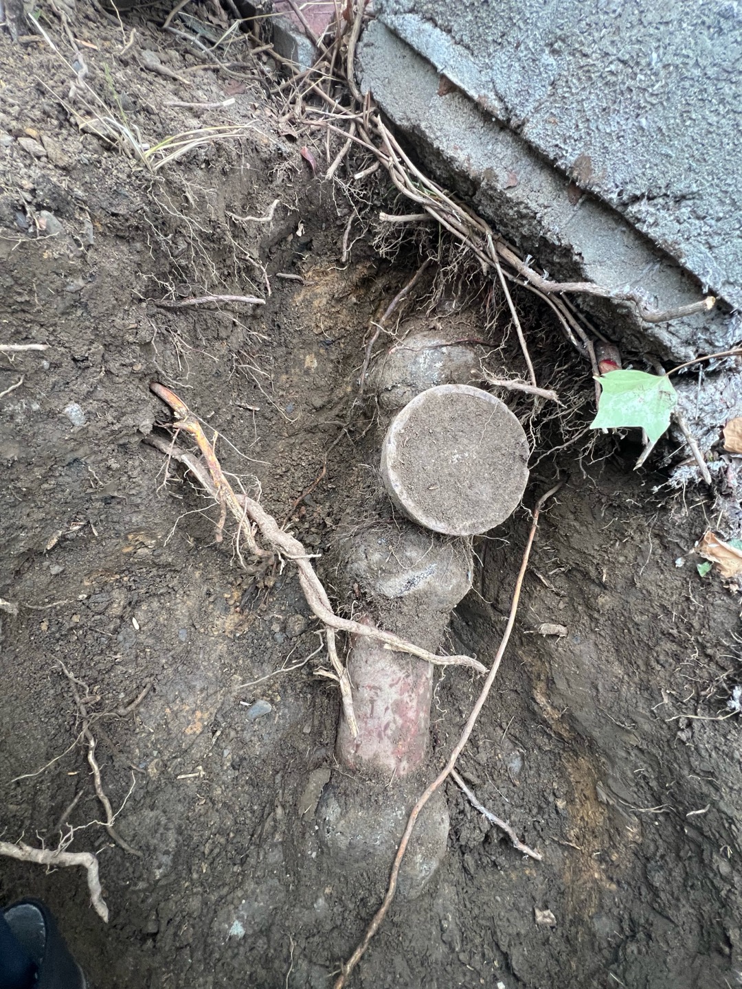 Main Line Backup Repair photo