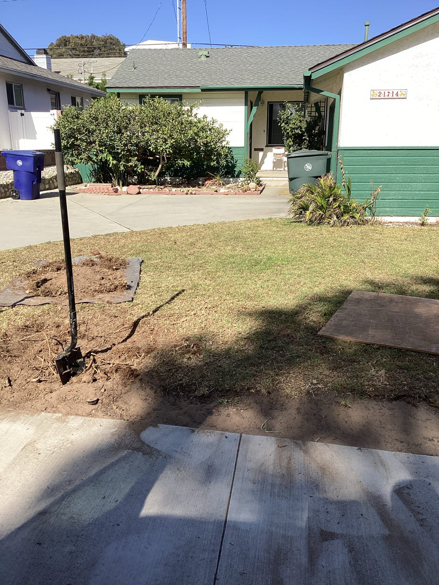Toilet Stoppage in Torrance — completed
