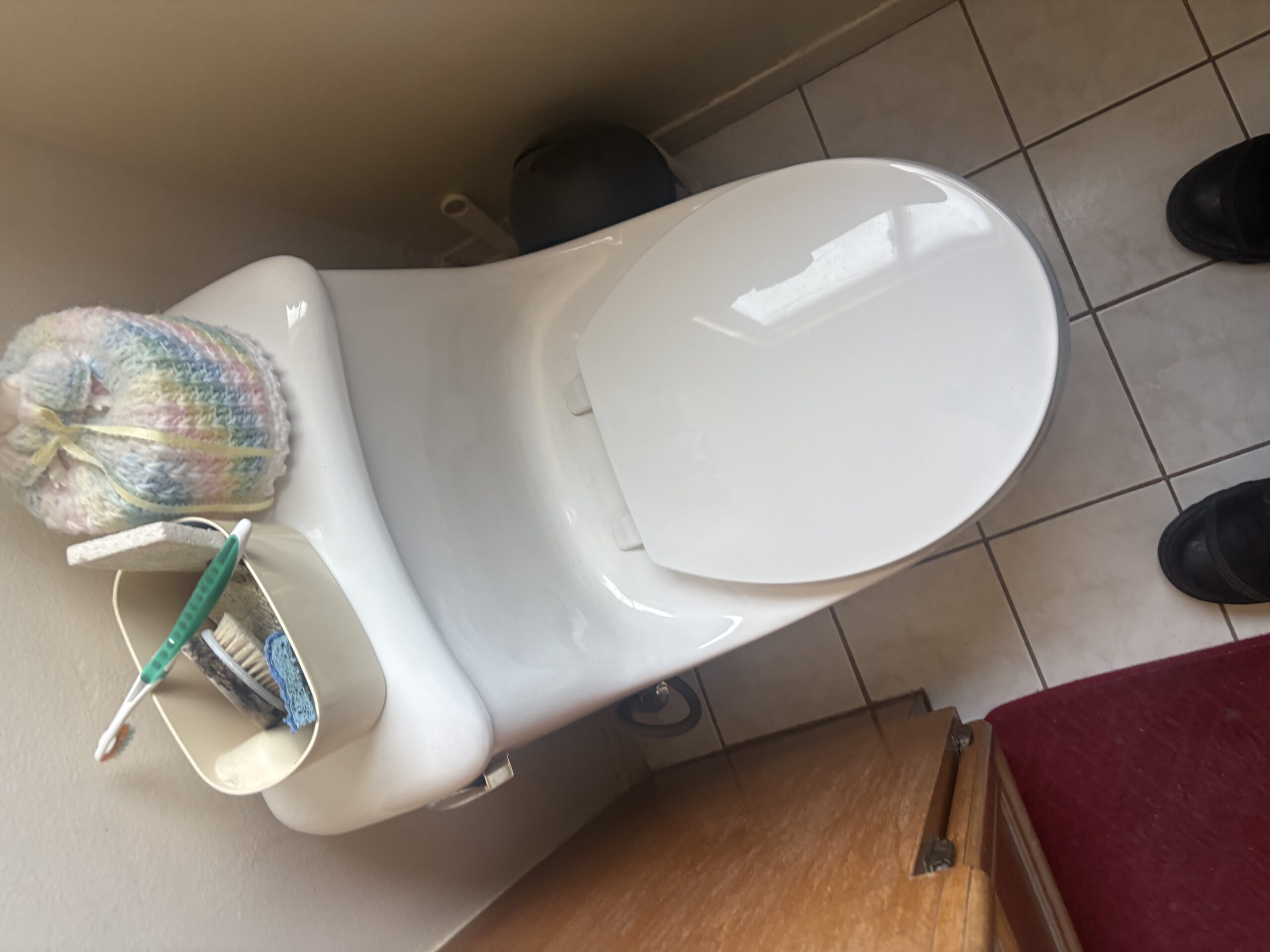 Toilet Stoppage photo